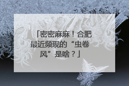 密密麻麻！合肥最近频现的“虫卷风”是啥？