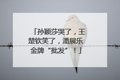 孙颖莎哭了，王楚钦笑了，潘展乐金牌“批发”！