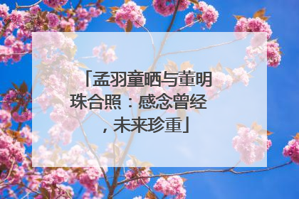 孟羽童晒与董明珠合照：感念曾经，未来珍重