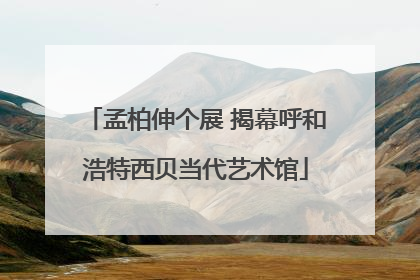 孟柏伸个展 揭幕呼和浩特西贝当代艺术馆