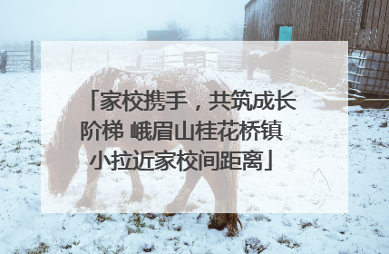 家校携手，共筑成长阶梯 峨眉山桂花桥镇小拉近家校间距离
