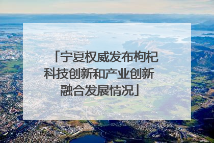 宁夏权威发布枸杞科技创新和产业创新融合发展情况