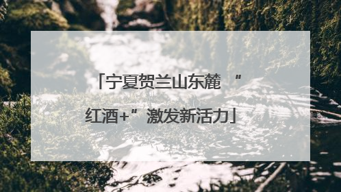 宁夏贺兰山东麓 “红酒+”激发新活力