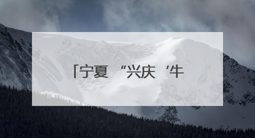 宁夏 “兴庆‘牛’礼为市民奶瓶子”增添更多选择