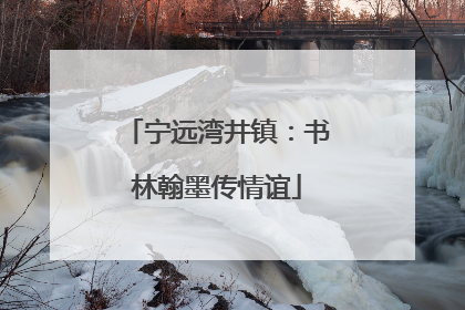 宁远湾井镇：书林翰墨传情谊