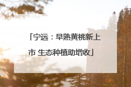宁远：早熟黄桃新上市 生态种植助增收