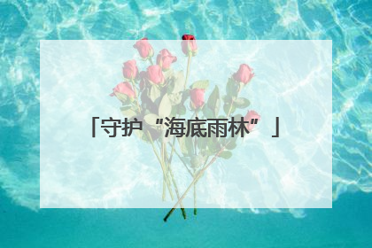 守护“海底雨林”