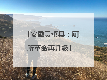 安徽灵璧县：厕所革命再升级