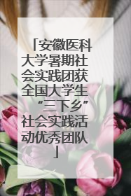 安徽医科大学暑期社会实践团获全国大学生“三下乡”社会实践活动优秀团队