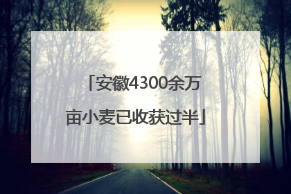 安徽4300余万亩小麦已收获过半
