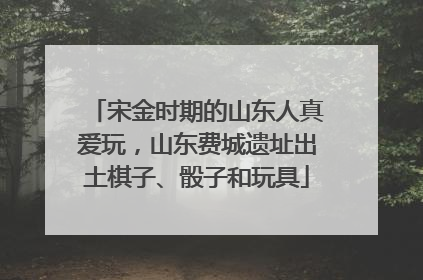 宋金时期的山东人真爱玩，山东费城遗址出土棋子、骰子和玩具