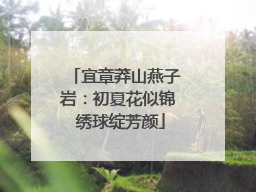 宜章莽山燕子岩：初夏花似锦 绣球绽芳颜
