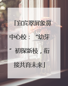宜宾翠屏象鼻中心校：“幼芽”初探新枝，衔接共育未来
