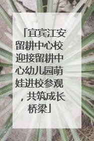 宜宾江安留耕中心校迎接留耕中心幼儿园萌娃进校参观，共筑成长桥梁