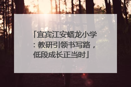 宜宾江安蟠龙小学：教研引领书写路，低段成长正当时
