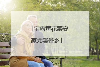 宝岛黄花菜安家尤溪畲乡