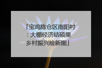 宝鸡陈仓区南阳村：大棚经济结硕果 乡村振兴绘新图