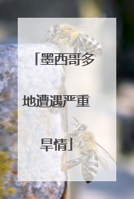 墨西哥多地遭遇严重旱情