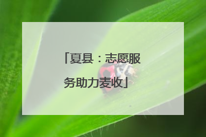 夏县：志愿服务助力麦收
