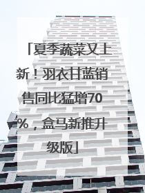 夏季蔬菜又上新！羽衣甘蓝销售同比猛增70%，盒马新推升级版