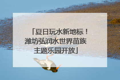 夏日玩水新地标！潍坊弘润水世界苗族主题乐园开放