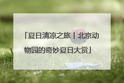 夏日清凉之旅丨北京动物园的奇妙夏日大赏