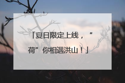夏日限定上线，“荷”你相遇洪山！