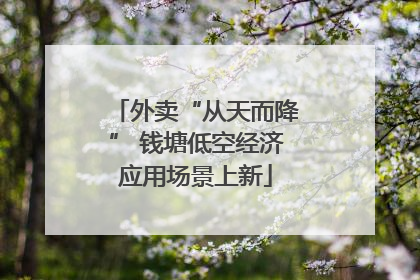 外卖“从天而降” 钱塘低空经济应用场景上新