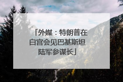 外媒：特朗普在白宫会见巴基斯坦陆军参谋长