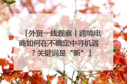 外贸一线观察丨跨境电商如何在不确定中寻机遇？关键词是“新”