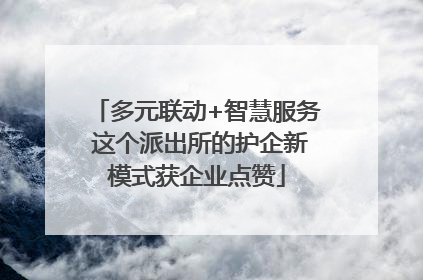 多元联动+智慧服务 这个派出所的护企新模式获企业点赞