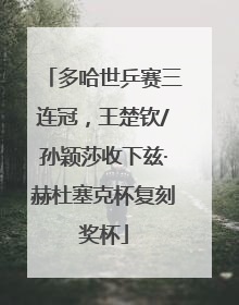 多哈世乒赛三连冠，王楚钦/孙颖莎收下兹·赫杜塞克杯复刻奖杯