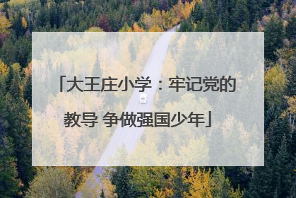大王庄小学：牢记党的教导 争做强国少年