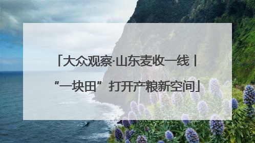 大众观察·山东麦收一线丨“一块田”打开产粮新空间