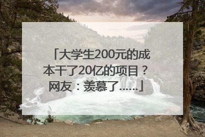 大学生200元的成本干了20亿的项目？网友：羡慕了……