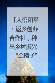 大悟阳平：返乡创办合作社，种出乡村振兴“金稻子”