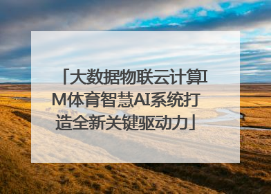 大数据物联云计算IM体育智慧AI系统打造全新关键驱动力