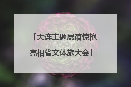 大连主题展馆惊艳亮相省文体旅大会