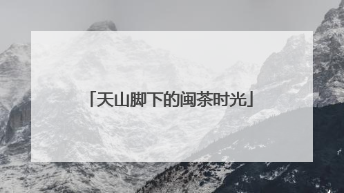 天山脚下的闽茶时光