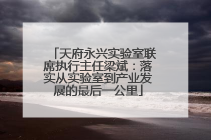 天府永兴实验室联席执行主任梁斌：落实从实验室到产业发展的最后一公里