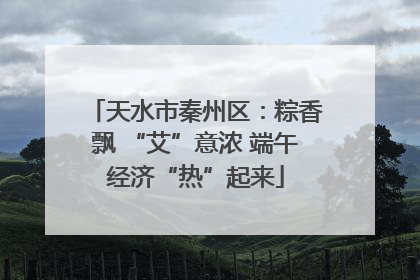 天水市秦州区：粽香飘 “艾”意浓 端午经济“热”起来