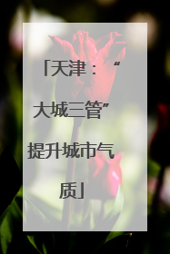 天津：“大城三管”提升城市气质