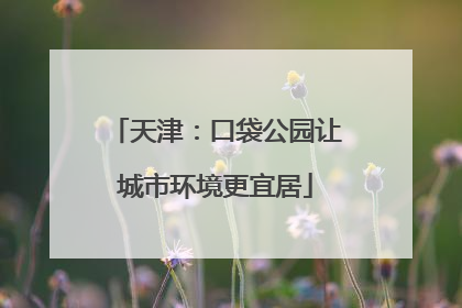 天津：口袋公园让城市环境更宜居