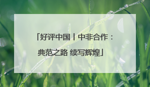 好评中国丨中非合作：典范之路 续写辉煌