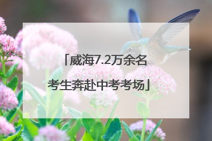 威海7.2万余名考生奔赴中考考场