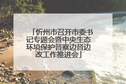 忻州市召开市委书记专题会暨中央生态环境保护督察边督边改工作推进会
