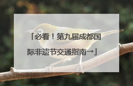 必看！第九届成都国际非遗节交通指南→