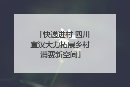 快递进村 四川宣汉大力拓展乡村消费新空间