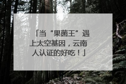 当“果菌王”遇上太空基因，云南人认证的好吃！
