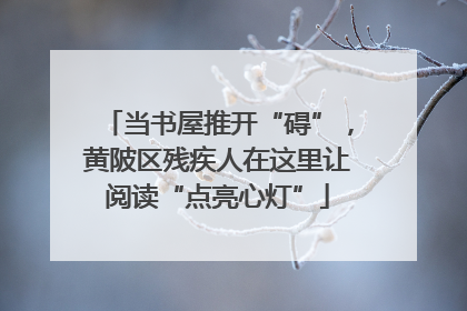 当书屋推开“碍”，黄陂区残疾人在这里让阅读“点亮心灯”
